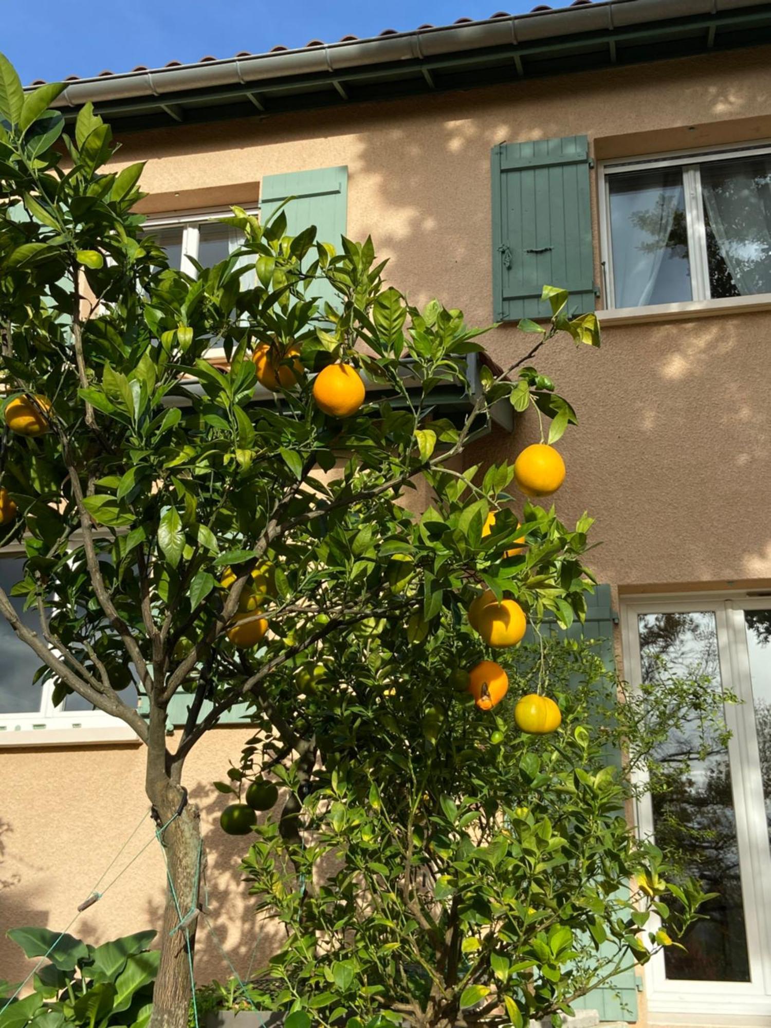 Le Relais Des Malettes Chambres D'Hotes B&B Francheville  Экстерьер фото